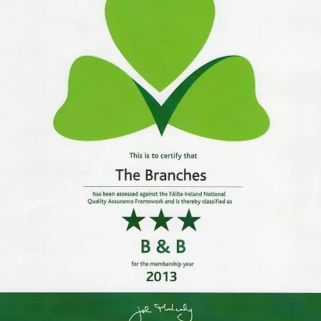 The Branches 3* 골웨이